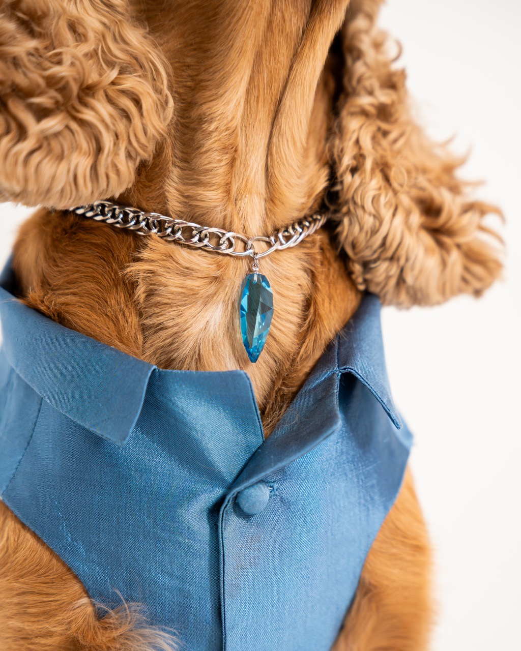 Companions — garments, accessories and jewellery for dogs and cats